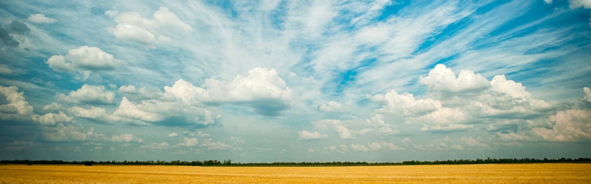 pexels-photo-1227513-1227513 Vast agricultural field in Ukraine under a striking sky of clouds and blue hues.